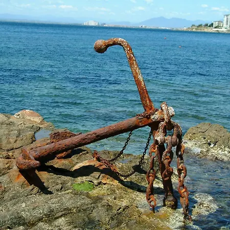 Vela 2* Ρόζες